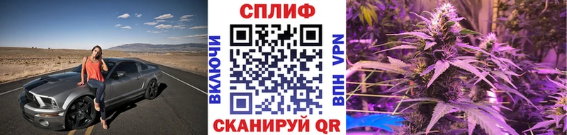 Купить закладку COCAIN  Каннабис  MDMA  Амфетамин  Псилоцибиновые грибы  НБОМе  Меф  ГАШ  Новоузенск