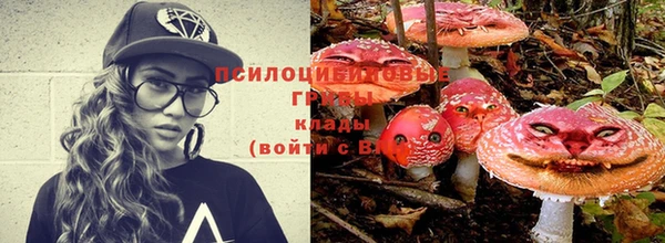 МДМА Каменка