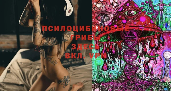 МДМА Каменка