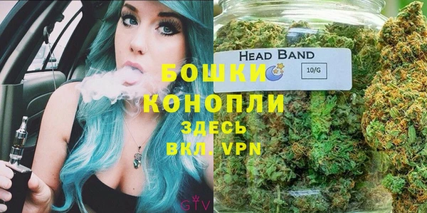 МДМА Каменка