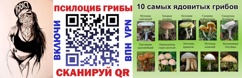 Галлюциногенные грибы Cubensis  Купить  Новоузенск 